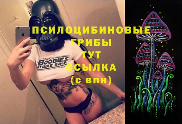 альфа пвп Куйбышев