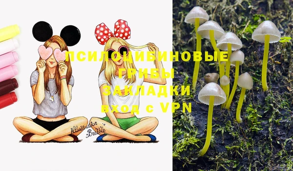 стаф Лагань