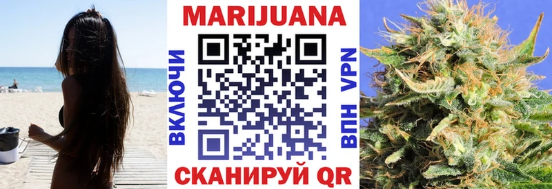 Канабис план  купить наркотик  Мариинский Посад 